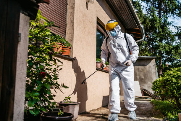 Wasp Removal Services in Batesville, IN