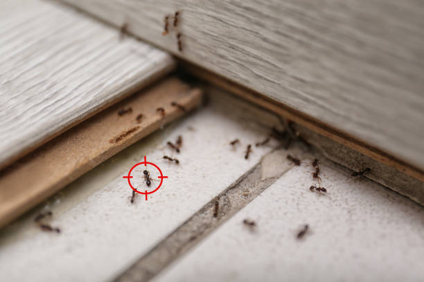 Best Best Pest Control Companies  in Batesville, IN