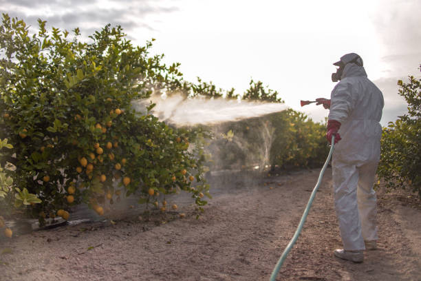 Best Mosquito Control Services  in Batesville, IN
