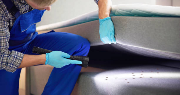 Best Best Pest Control Companies  in Batesville, IN