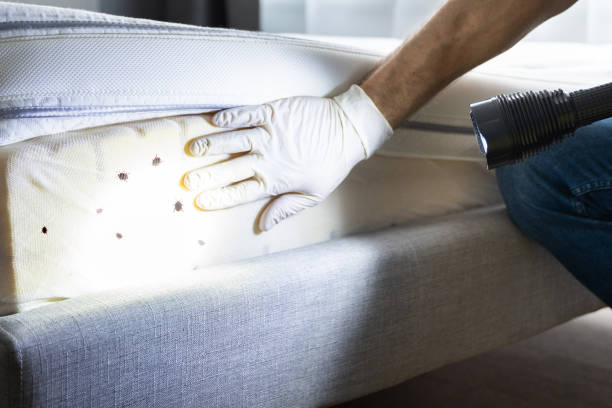 Best Pest Prevention Services  in Batesville, IN