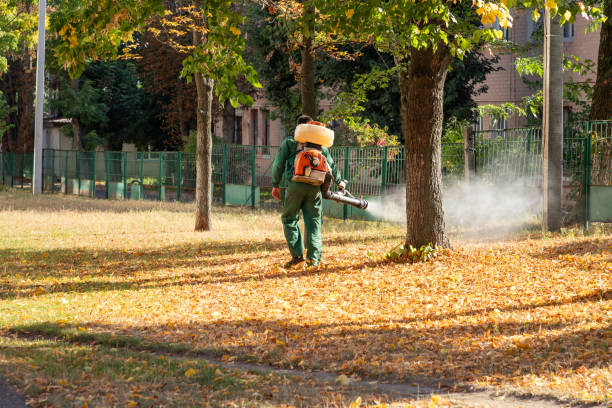 Wasp Removal Services in Batesville, IN