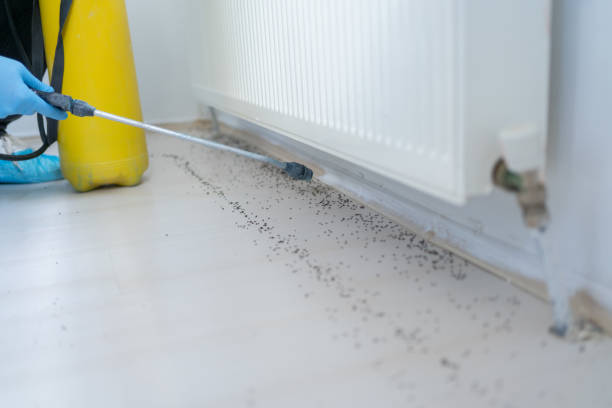 Best Emergency Pest Control  in Batesville, IN
