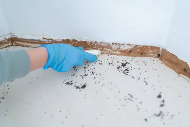 Professional Pest Control in Batesville, IN